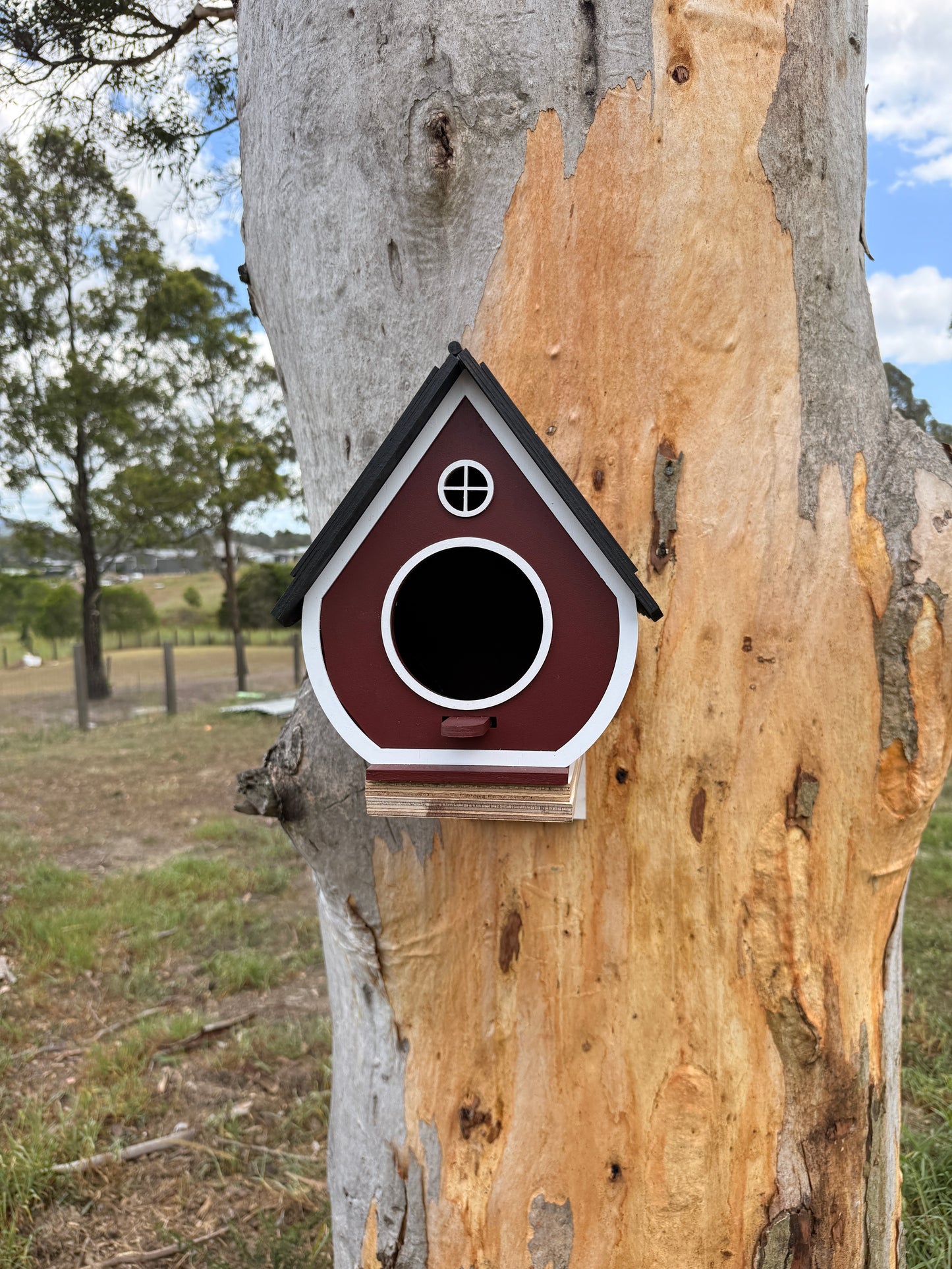 Redwood hollow Birdhouse